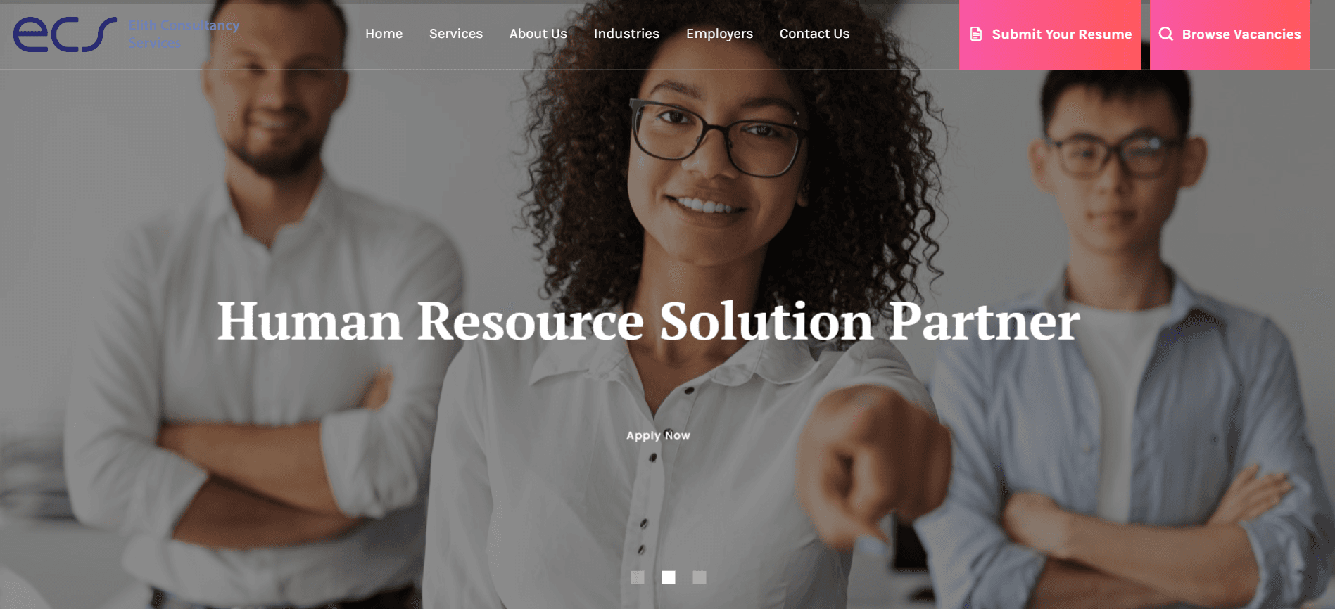 ELITH CONSULTANCY SERVICES